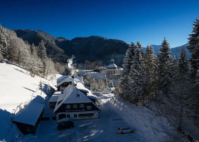 Blaue Gams ***s Ettal