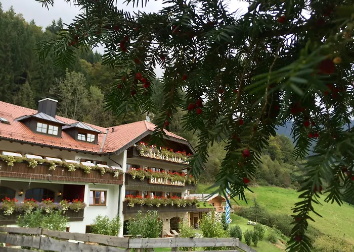 Blaue Gams ***s Hotel Ettal