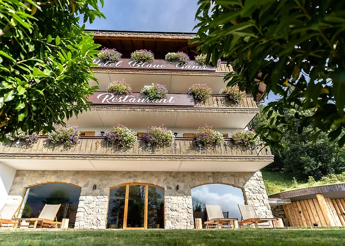 Hotel Blaue Gams ***s