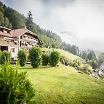 Blaue Gams Hotel 3*