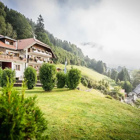 Blaue Gams ***s Hotel 3*