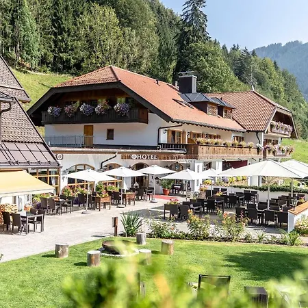 Blaue Gams ***s Hotel 3*