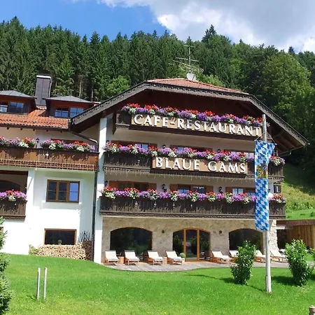 Otel Blaue Gams ***s