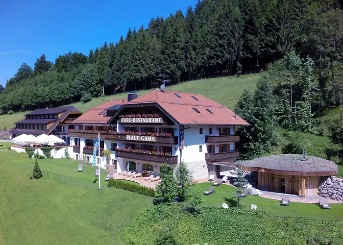 Blaue Gams ***s Szálloda Ettal